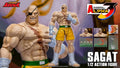 Storm Arena Sagat